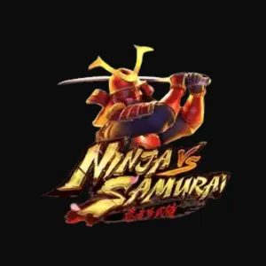 Ninja vs Samurai